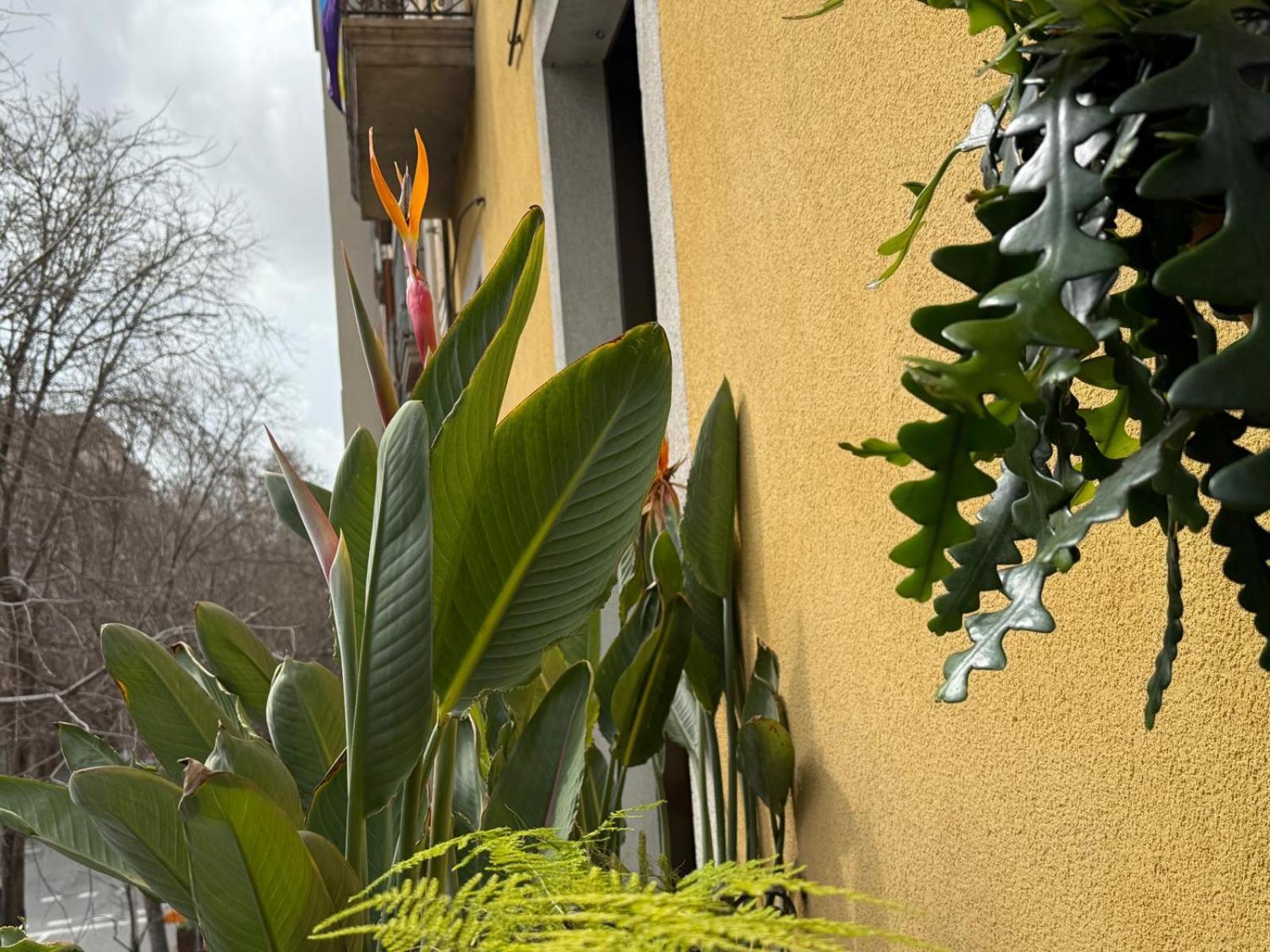 Plaza Goya Rooms Barcelona Zewnętrze zdjęcie