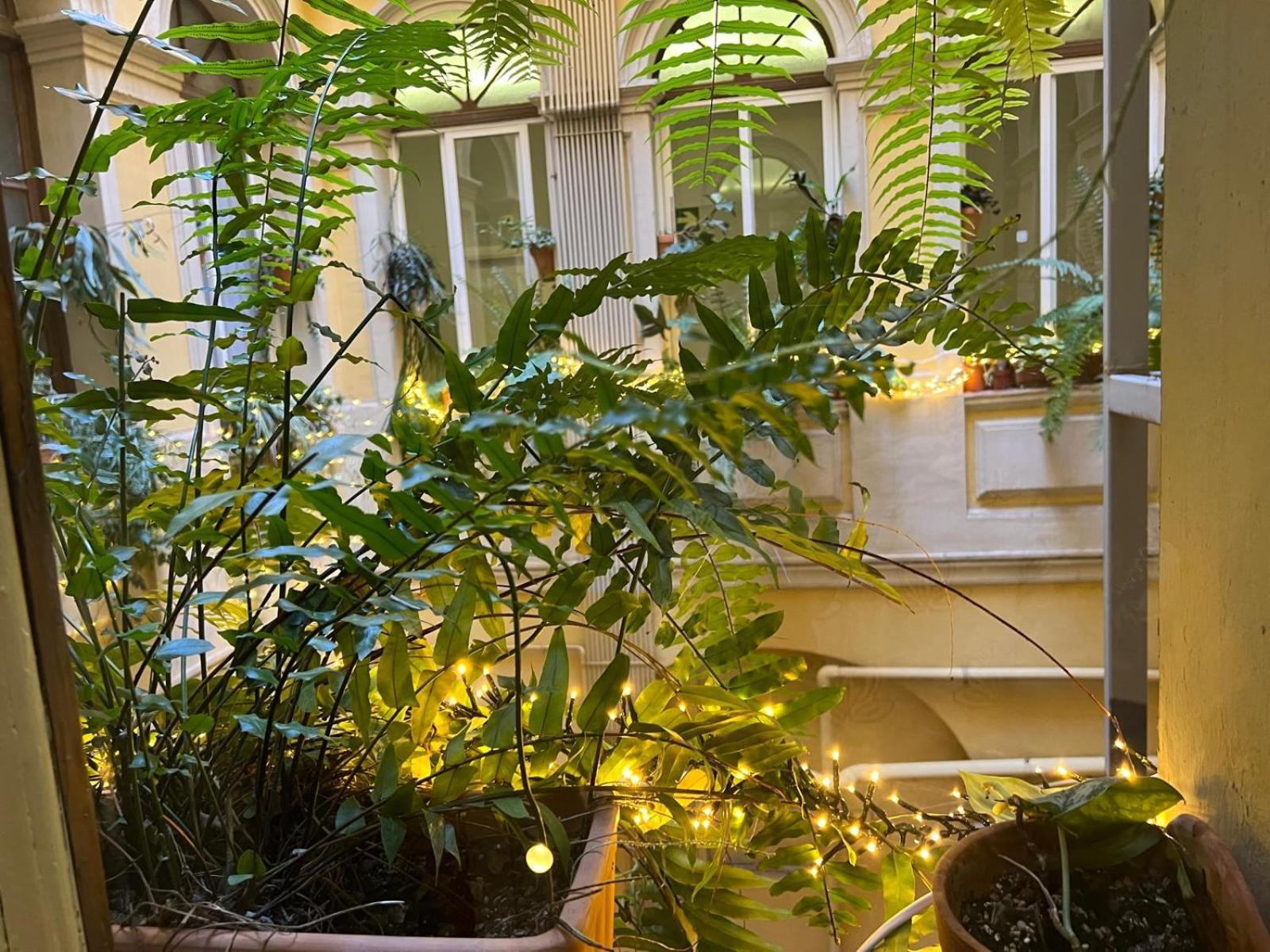 Plaza Goya Rooms Barcelona Zewnętrze zdjęcie